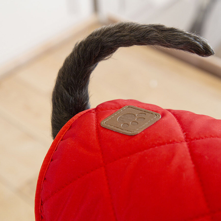 Outech Bi-Texture Casaco Vermelho para c&atilde;es, , large Imagem n&uacute;mero 6